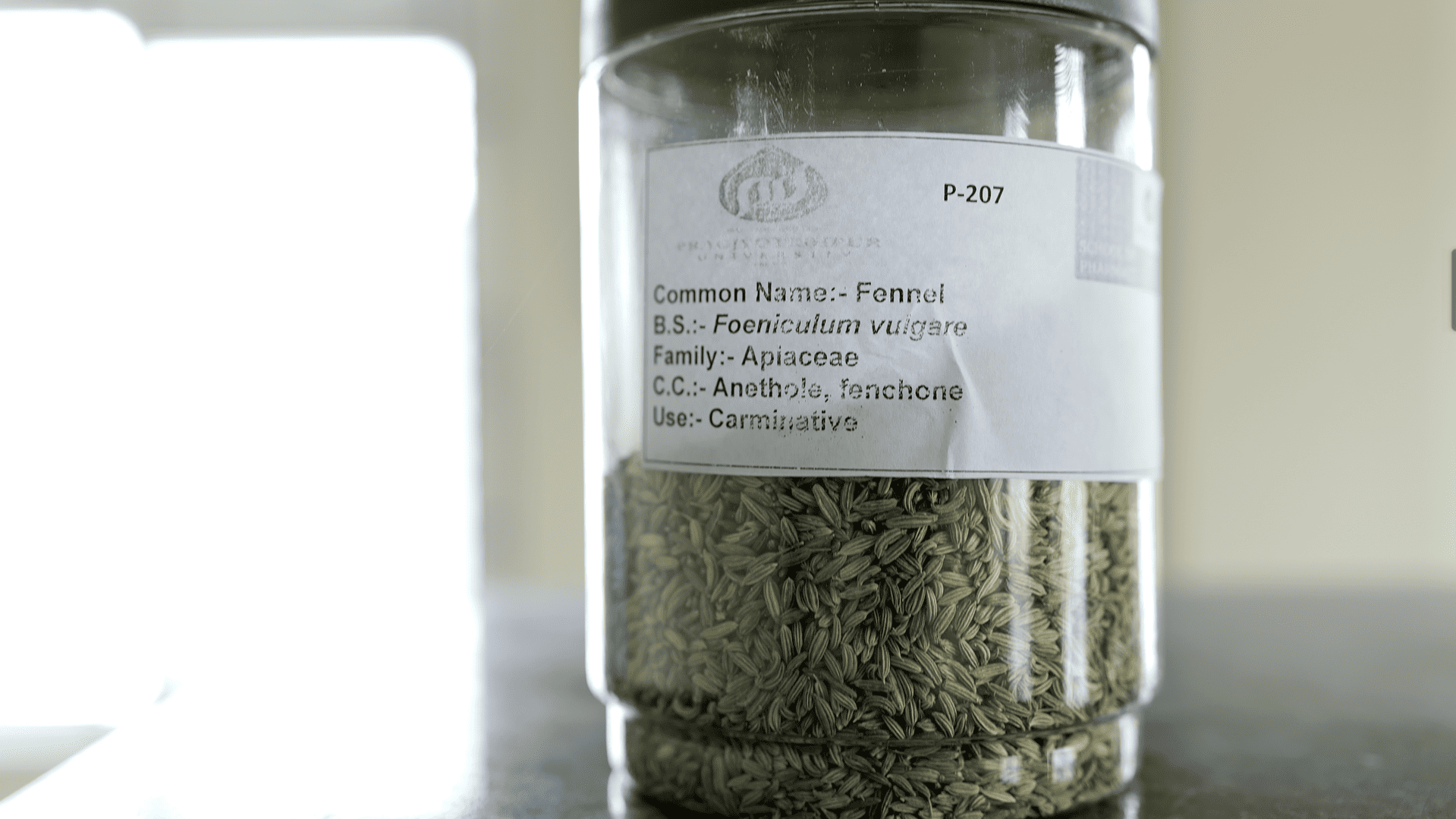 Pragjyotishpur University Guwahati Pharmaceutical chemistry lab photo 8